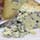 Colston Bassett Stilton Photo [1]