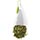 Tea Forte Moroccan Mint Green Tea - Pyramid Box, 6 Infusers Photo [3]