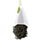 Tea Forte Lapsang Souchong Black Tea - Loose Leaf Tea Canister Photo [2]