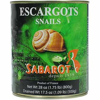 Escargot Helix Very Large in Water