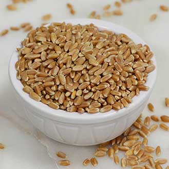 Red Wheat Berries - Hard