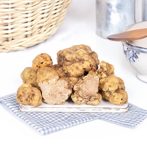 Fresh Bianchetto Spring White Truffles Photo [1]